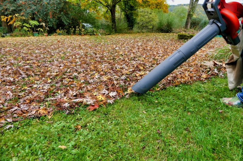 Leaf Cleanup Efficiency