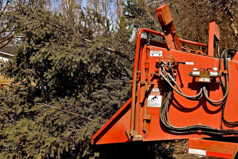 Tree Trimming Equipment