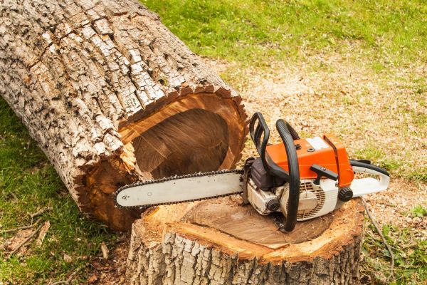 Tree Cutting Service in Hendersonville