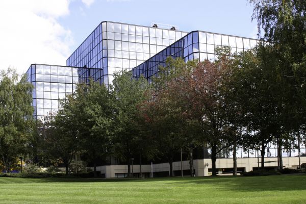 Commercial Tree Trimming in Hendersonville